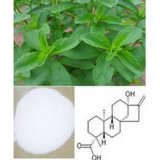 Natural High Quaity Pure Stevia Extract Stevioside