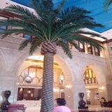 Wholesale Market Artificial Date Palm Tree for Decorative (indoor&outdoor)