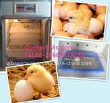 Full Automatic Poultry Incubator/Chicken Egg Incubation Sale/Egg Hatching Machine