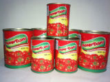 Canned Tomato Pastge