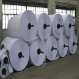 White or Color Offset Printing Paper