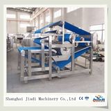 Fruit Pulp Extractor Machine