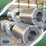 Economical Iron Core Used Electrical Steel Coil