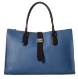 Classical Trend Leather Handbag Fashion Bags (LDO-15111)