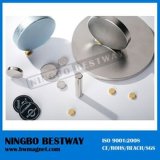 N33ah Sintered NdFeB Disc Magnets