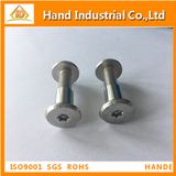 Male and Female Fasteners Screws