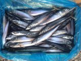 Sea Frozen Mackerel Fish Price 150-250
