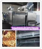 Nuts Processing: Nut Drying Machine