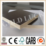 Qingdao Gold Luck Film Faced Plywood Timber Formwork