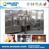 12000bph Juice Hot Filling Line