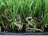 Synthetic Grass/Artificial Turf (GW303816-7)
