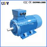 Ykp Electric Motor