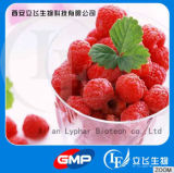 Top Quality Nature Raspberry Ketone (5471-51-2) From Lyphar