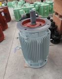 5-80kw Low Speed Vetical Wind Permanent Magnet Generator