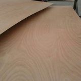 Decorative and Furniture Sapele / Okoume Bb/Cc Commercial Plywood