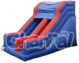 Garden Slides Inflatable Slide/Commercial Inflatable Slide Bb046