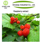 Raspberry Fruit Extract, 4: 1, Raspberry Ketone 98%, 99% by Gc
