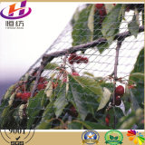 Anti Insect Net for Gardening Use