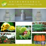 Good Quality Herbicideterbuthylazine (97%TC, 80%WP, 50%SC, 90%WDG)