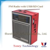 FM/MW/Sw Radio with MP3 USB Card Good Quality Portable Radio Digital Radio FM Radio