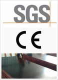 SGS Qualified Film Faced Plywood