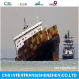 Marine Insurance/Cargo Insurance From China