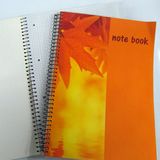 Softcover Notebooks
