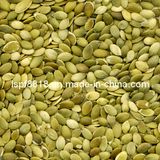 Grade A Shine Skin Pumpkin Seed Kernels