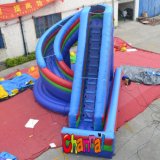 Giant Commercial Wet Dry Inflatable Slide (CHSL286)