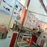 Rattan Plastic Machinery (LXSJ-55)