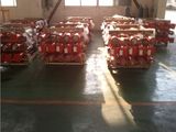Telescopic Cylinder