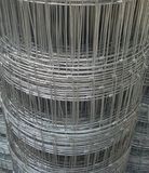 Welded Wire Mesh