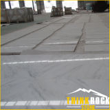 Natural Marble Stone for Interior Wall/Floor Tile