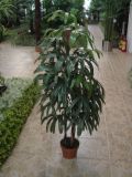 Artificial Plants and Flowers of Raphis Palm Gu-Bj-603-43-3