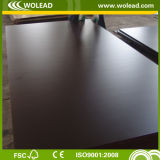 15mm Brown Film Faced Plywood for Construction (w15517)