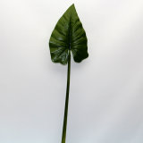 Artificial Leaves, Imitative Leaf (TC060035-LV0601)