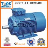ANP series Gost Standard Three Phase Electric Motor