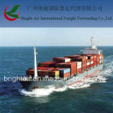 Efficient Sea Freight From China to San Lorenzo, Argentina