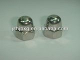 Stainless Steel Cap Nut