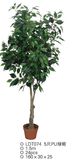 Artificial Ficus