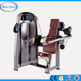 Buy Gym Equipment/Commercial Fitness Equipment/Fitness Products