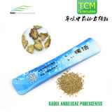 Traditional Chinese Medicine, Radix Angelicae Pubescentis Granules