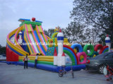 Large Inflatable Water Slide for Fun (AIS0003)
