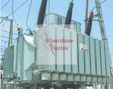 220kv (LV: 66KV) Power Transformer 3 Phase 2 Winding with Octc