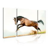 Horse Canvas Art Painting for Home Wall Decorative