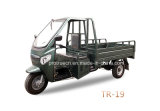 Tricycle with Front Steel Smart-Cat Face (TR-19)