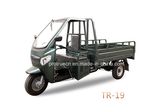 Tricycle with Front Steel Smart-Cat Face (TR-19)