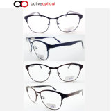 Economic Stainless Optical Frame Eyewear Frame (8064)