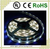 Flexible LED Strip Light for Decoration