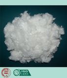 Recycled Polyester Staple Fiber 7D HC